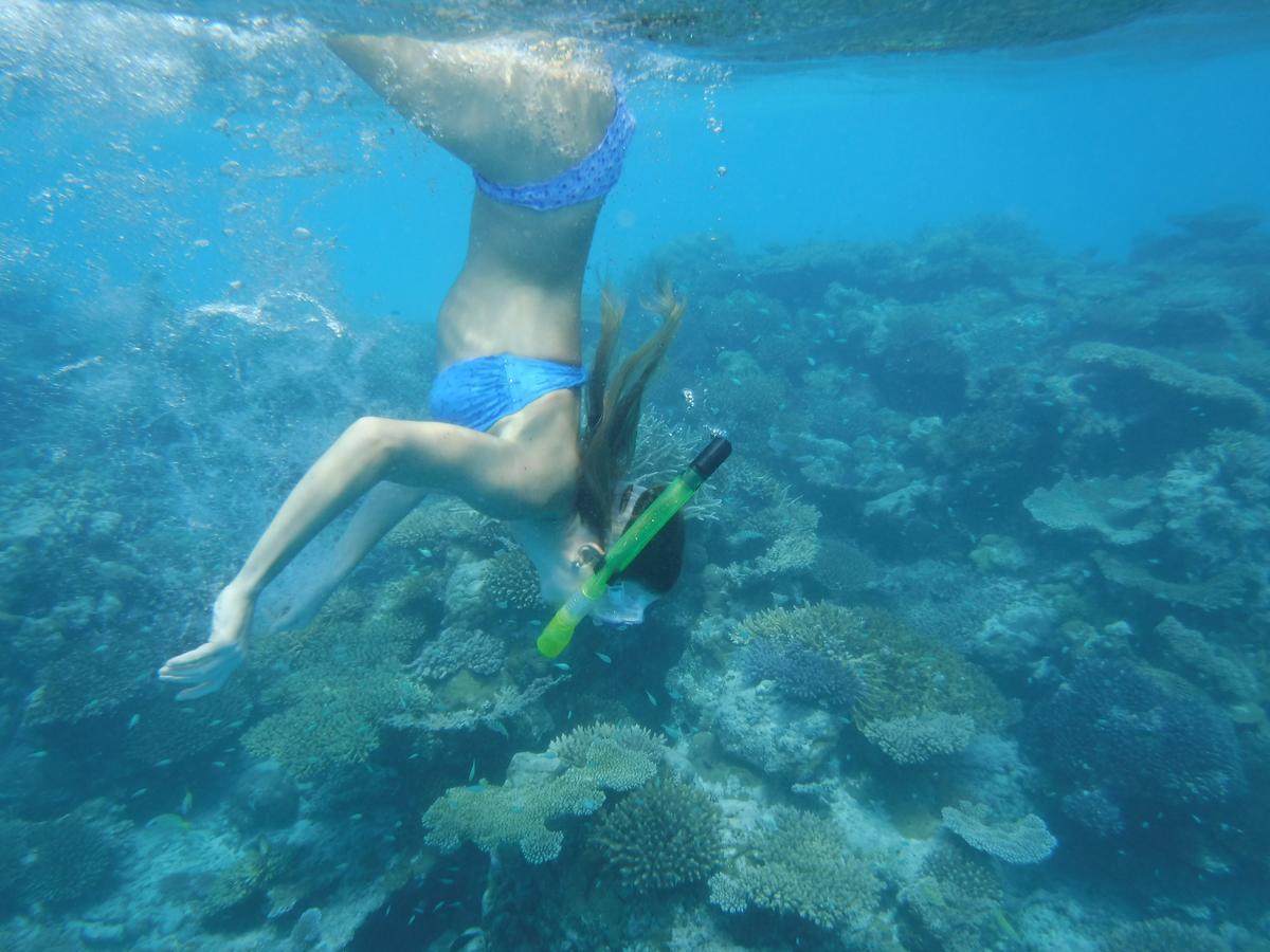 Отель Surf Trip Maldives Тулусду Экстерьер фото